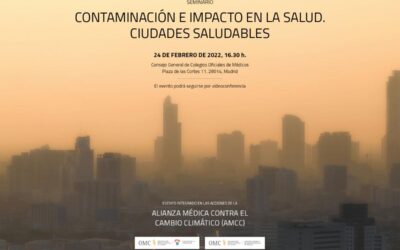 Seminario online Contaminación e Impacto en la Salud. Ciudades Saludables