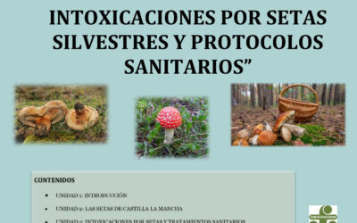 Taller presencial: «Sanidad y hongos: intoxicaciones por setas silvestres y protocolos sanitarios»